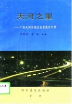 天河之星 广州天河乡镇企业发展启示录