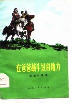 在爸爸战斗过的地方 短篇小说集