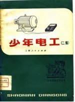 少年电工 二集