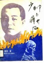 少帅与蒋介石