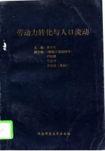 劳动力转化与人口流动