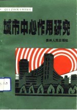 城市中心作用研究