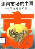 走向市场的中国 下海淘金必读