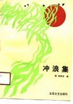 冲浪集 宋贵生报告文学小说选