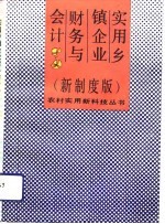 实用乡镇企业财务与会计 新制度版
