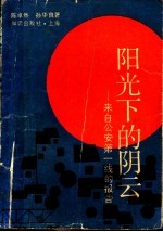 阳光下的阴云 来自公安第一线的报告