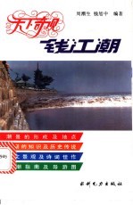 天下奇观钱江潮