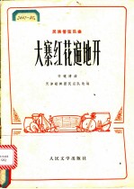 大寨红花遍地开 民族管弦乐曲