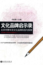 文化品牌启示录 北京市青年宫文化品牌实践与探索