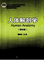 人体解剖学 第4版