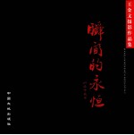 瞬间的永恒 王金文摄影作品集