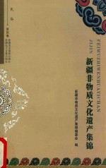 新疆非物质文化遗产集锦 第4卷 民俗