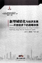 新型城镇化与经济发展 开放经济下的战略抉择
