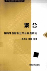 聚合 国内外创新创业平台案例研究