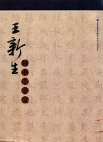 王新生楷书千字文