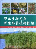 鄂尔多斯高原野生维管植物图鉴