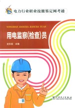 用电监察(检查)员