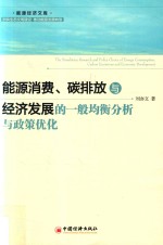 能源消费 碳排放与经济发展的一般均衡分析与政策优化