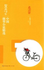 2017年中国微型小说精选