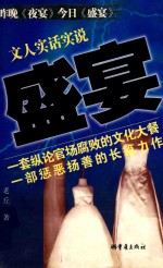 盛宴 文人实话实说