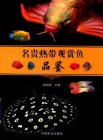 名贵热带观赏鱼品鉴