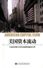 美国的资本流动 非成本要素与对外直接投资流向分析