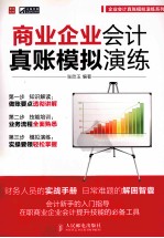 商业企业会计真账模拟演练