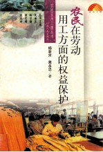 农民在劳动用工方面的权益保护