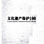 文化遗产保护100 2000-2010