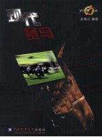 现代赛马