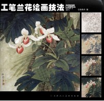 工笔兰花绘画技法