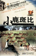 世界动物文学经典 小鹿斑比