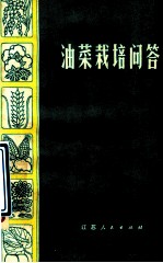 油菜栽培问答