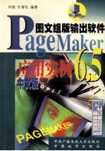 PageMaker 6.5应用实例 中文版