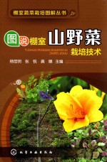 图说棚室山野菜栽培技术