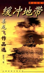 缓冲地带 姜龙飞作品选