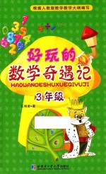 好玩的数学奇遇记 三年级