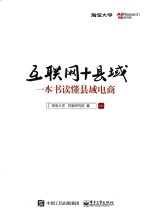 互联网+县域 一本书读懂县域电商
