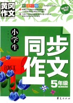 小学生同步作文 五年级