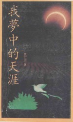 我梦中的天涯