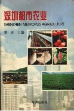 深圳都市农业