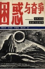 困惑与奋争 当代中国企业与企业家