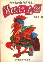 考考您的智力系列 2 慧眼识奇图