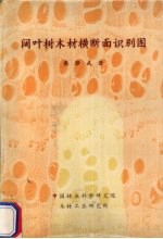阔叶树木材横断面识别图