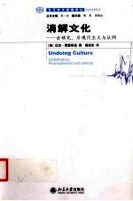 消解文化：全球化、后现代主义与认同