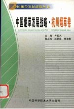 中国烟草发展战略 杭州烟草卷