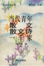 当代青年散文散文诗一千家 下