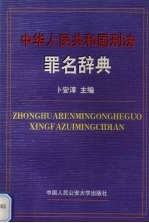 中华人民共和国刑法罪名辞典