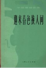 迎来春色换人间 小提琴独奏曲