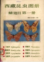 西藏昆虫图册 鳞翅目 第1册